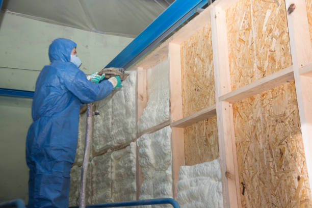 Best Best Insulation Companies  in Black Hammock, FL